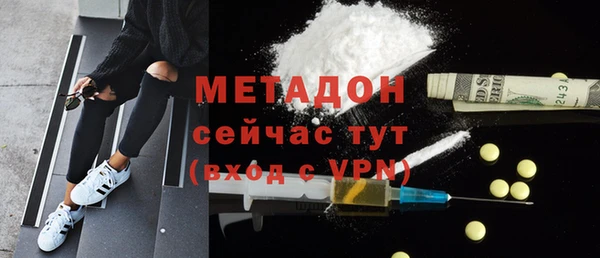 прущие грибы Беломорск