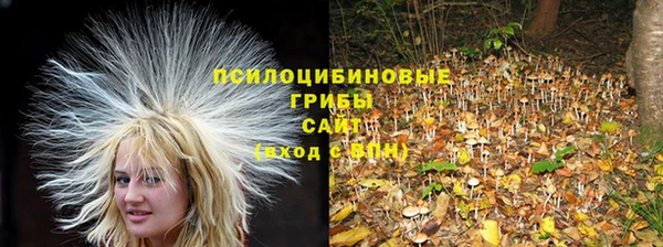 MDMA Богородицк