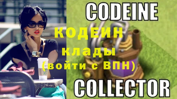 индика Видное