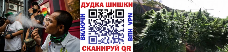 купить наркотик  мега ССЫЛКА  МАРИХУАНА конопля  Волосово 